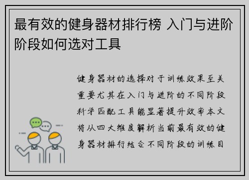 最有效的健身器材排行榜 入门与进阶阶段如何选对工具